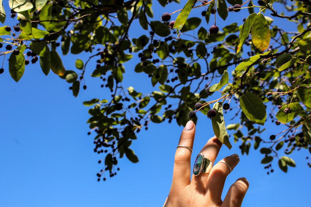 Gioielli Tassone | Opali  (immagini mommyswonderfulworld_ph)